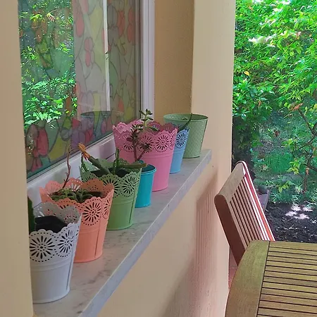 Domo Janas Όλμπια