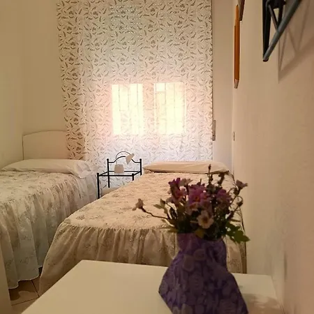Guest house Domo Janas