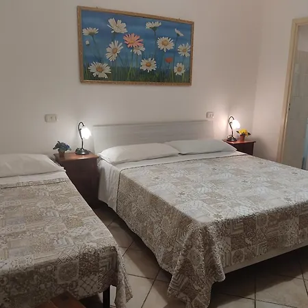 Guest house Domo Janas