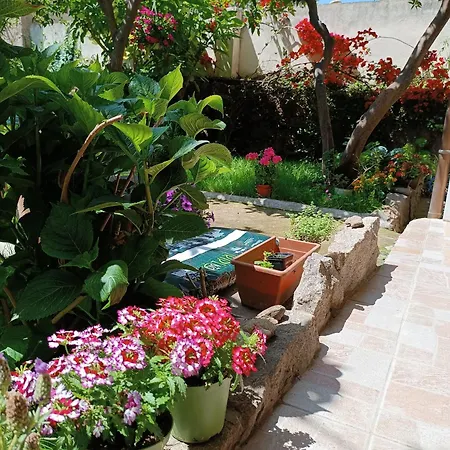 Domo Janas Guest house *