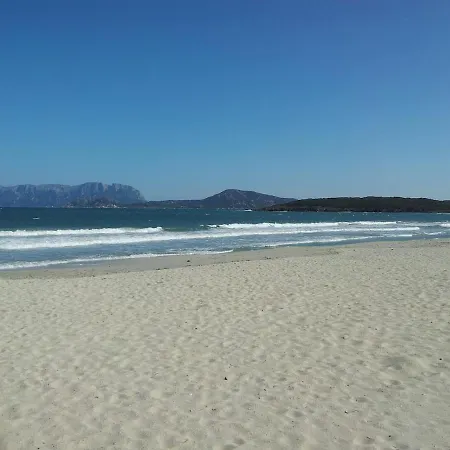 Domo Janas Affittacamere Olbia