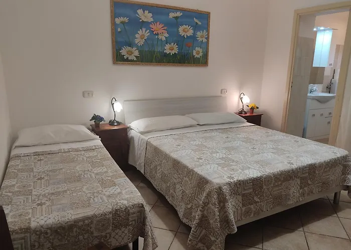 Casa de hóspedes Domo Janas