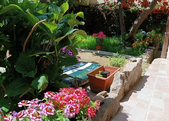 Domo Janas Pensionat 3*